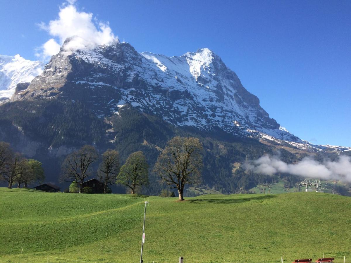 Eiger, Jungfrau, Luxury Garden Apartment Grindelwald Dış mekan fotoğraf