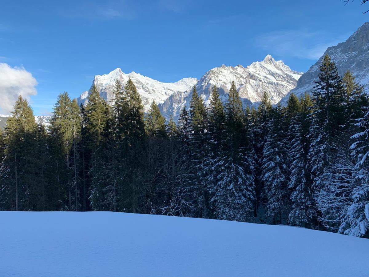 Eiger, Jungfrau, Luxury Garden Apartment Grindelwald Dış mekan fotoğraf