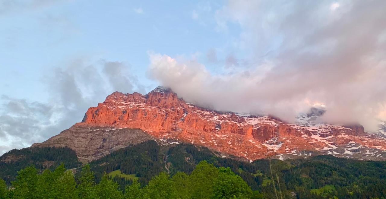 Eiger, Jungfrau, Luxury Garden Apartment Grindelwald Dış mekan fotoğraf