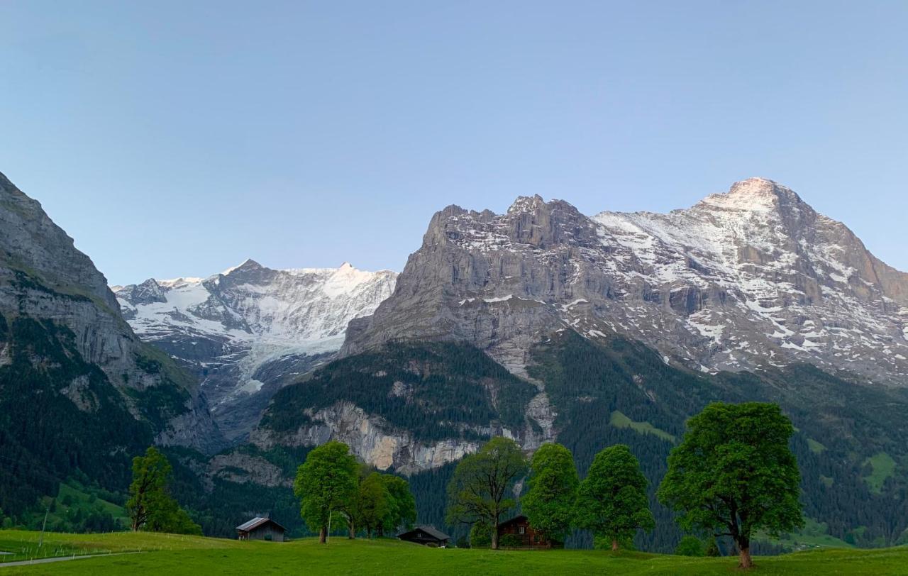 Eiger, Jungfrau, Luxury Garden Apartment Grindelwald Dış mekan fotoğraf