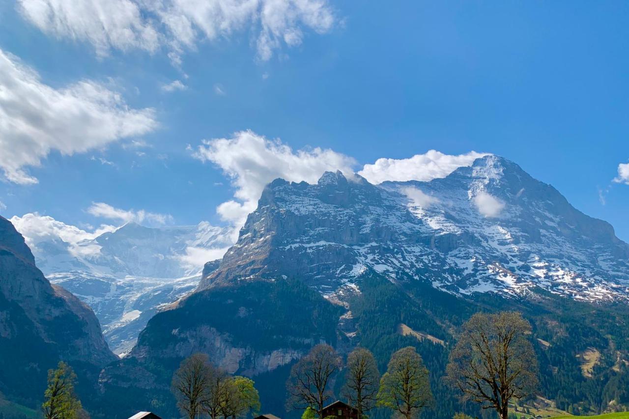 Eiger, Jungfrau, Luxury Garden Apartment Grindelwald Dış mekan fotoğraf