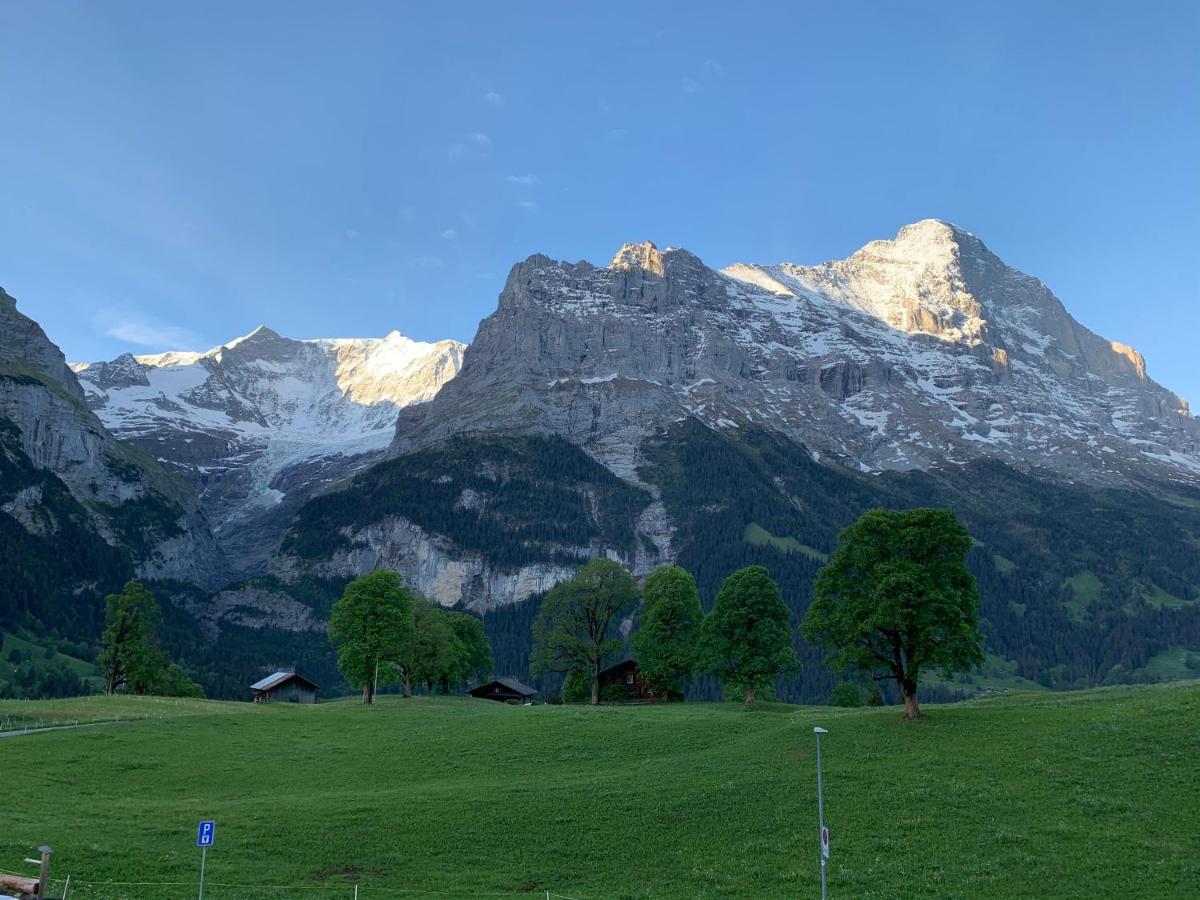 Eiger, Jungfrau, Luxury Garden Apartment Grindelwald Dış mekan fotoğraf