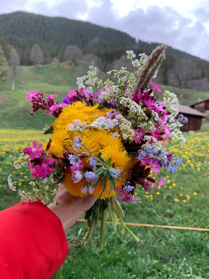 Eiger, Jungfrau, Luxury Garden Apartment Grindelwald Dış mekan fotoğraf