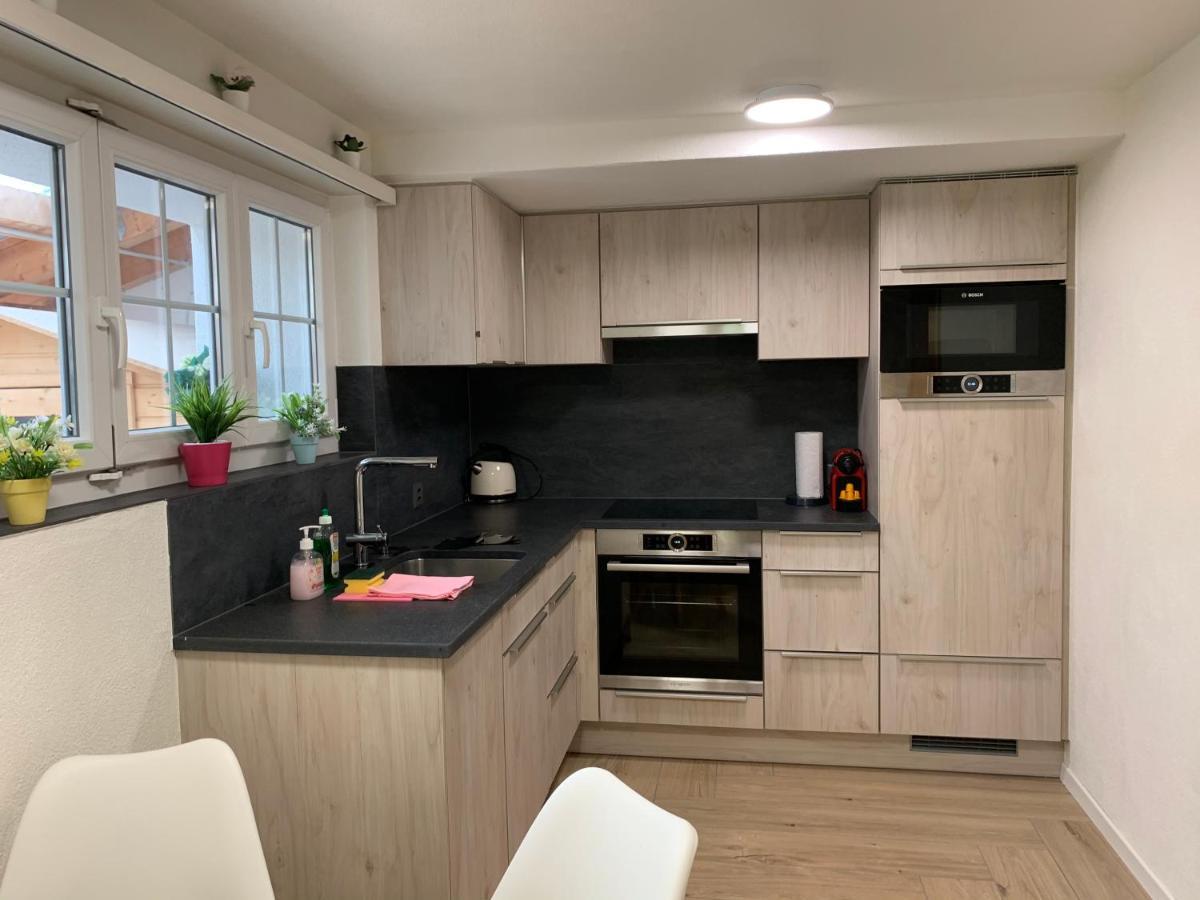 Eiger, Jungfrau, Luxury Garden Apartment Grindelwald Dış mekan fotoğraf